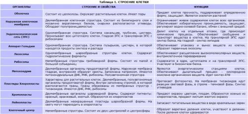 1. строение и функции одномембранных органоидов, их морфофункциональная организация и классификация