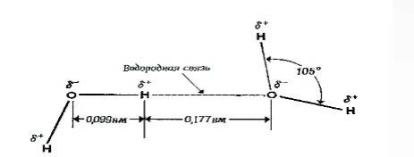 Биологическое значение воды связано с уникальным свойством