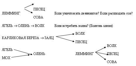 Составь схему питания характерной для тундры