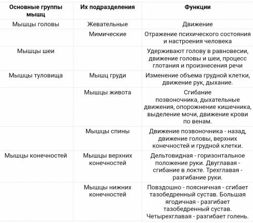 Кто может скинуть мне таблицу по биологии! она выглядит так ! надо по функциям мышц и мышечных групп