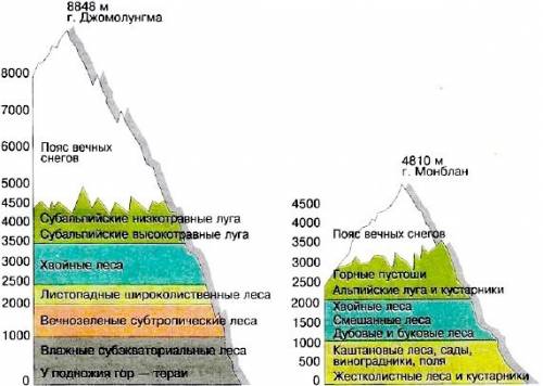 Высотная поясность гималаев схема !