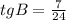 tgB = \frac{7}{24}