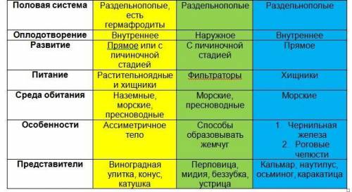 Таблица по биологии 7 класс тип моллюски 1. признаки типа 2. классы 3. признаки класса 4. представит