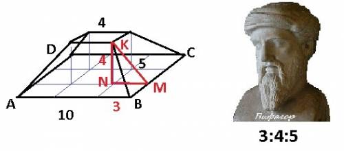 Стороны правильной четырёхугольной усеченной пирамиды 4 см и 10, длина апофемы 5 см. найти высоту