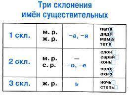 Что значит 1 склонение 2 склонение и 3 склонение