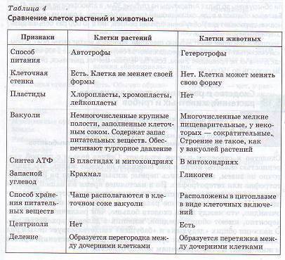 Выскажите предположение,с чем связаны различия (внутренние и по форме) в строении клеток у разных ор