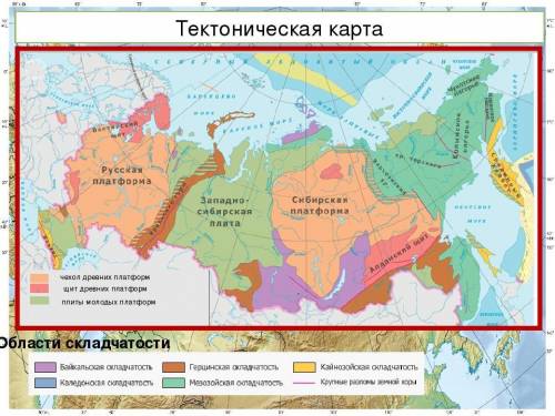 Определите положение тектонических структур на территории россии