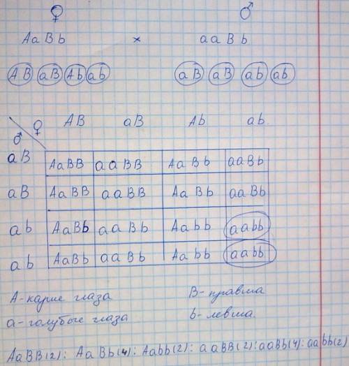 Голубоглазый правша женится на кареглазой правше. у них родились двое детей: кареглазый левша и голу