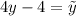 4y - 4 = \tilde{y}