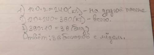 На одном пчальнику собрали 120кг меду, а на другим у дваразы больш.увесь мед разлили у битоны па 10