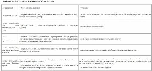 Сочинениевзаимосвязь функций и строение корня