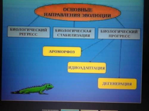 Практическая по биологии 1. перечислить основные пути эволюции 2. на конкретном примере показать пут