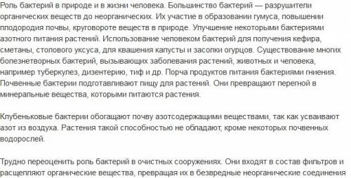 Почему жизнь на земле без бактерий была бы невозможна? дать ответ в размере 5-6 предложений