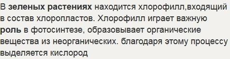 1какие функции в растении выполняют зеленые листья? 3 какие условия необходимы для осуществления фот