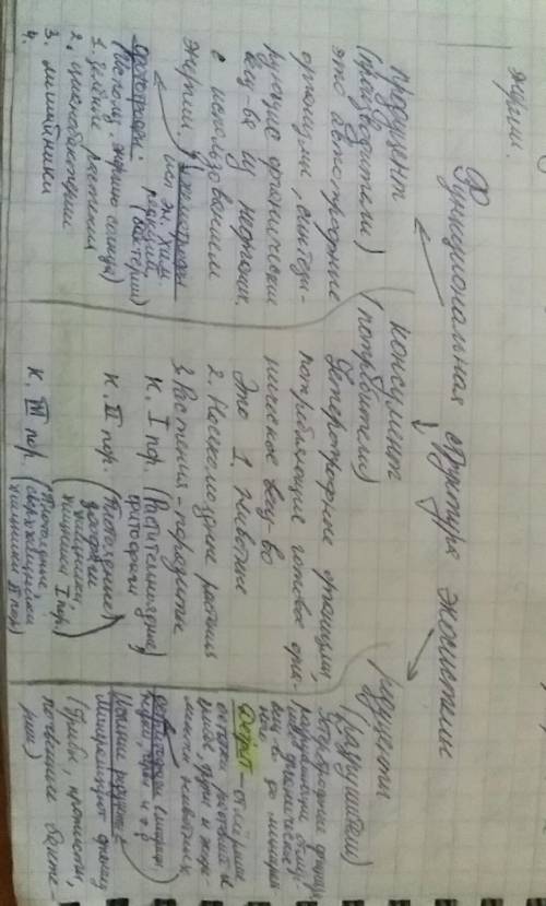 Соотнести) а)многоножка, б)дафния- 1)продуцент, 2)консумент или 3)редуцент?