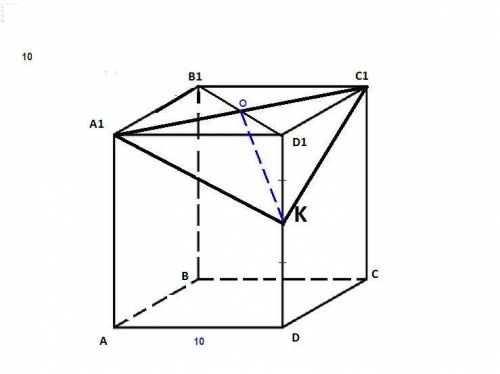 Дан куб abcda1b1c1d1 , ребро которого равно 10. найдите периметр и площадь сечения а1с1к, если d1k=k