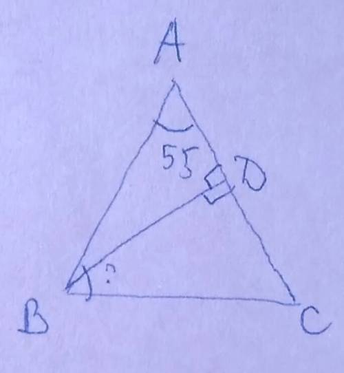 Авс равнобедренный треугольник. вс основание угол а равен 55 градусов вд высота треугольника. чему р