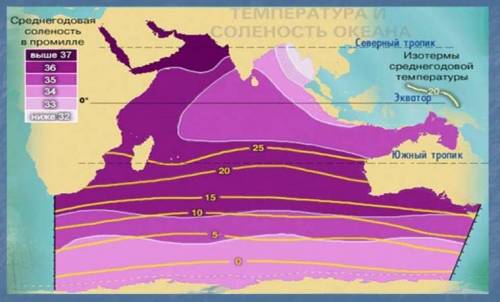 Какой фактор влияет на соленость воды в данной части индийского океана?