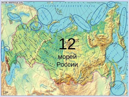 Определите названия всех морей омывающих россию. какое самое большое по площади? самое маленькое? са