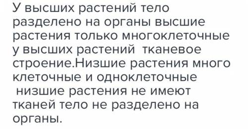 Назавит группы растений, охарактерезуйте их