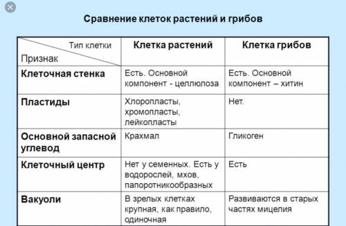 Составьте таблицу различий и сходств между грибами и зелеными растениями