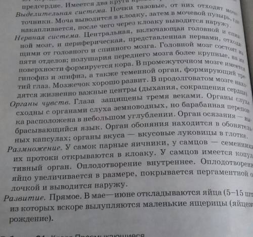 Кровеносная, нервная, выделительная,дыхательная системы и размножение(тип развития, оплодотворение)