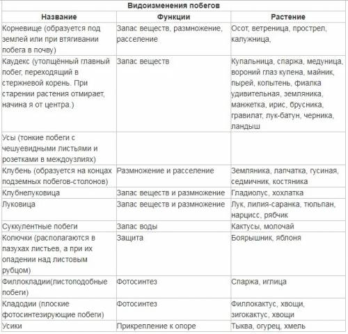 2. перечислите видоизменения побега (у каких растений есть данные изменения, для чего они нужны) 10