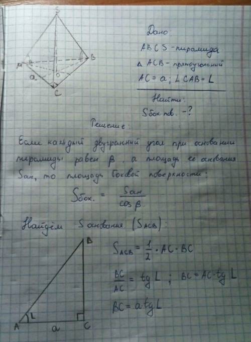 Основою піраміди є прямокутний трикутник із гострим кутом l і катетом a,прилеглим до нього. кожна бі