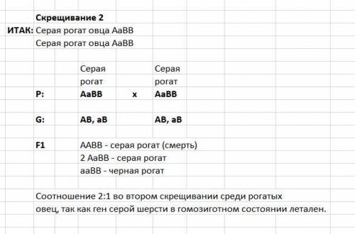 Уовец в гомозиготном состоянии ген серой окраски вызывает гибель эмбрионов. в первом скрещивании меж