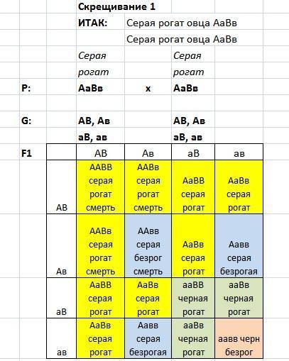 Уовец в гомозиготном состоянии ген серой окраски вызывает гибель эмбрионов. в первом скрещивании меж