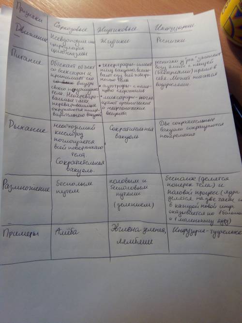 Нужно составить таблицу признакиlтип саркодовыеlтип жгутиковыеlтип инфузорииl 1.движение 2.питание 3
