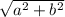 \sqrt{ a^{2}+ b^{2} }