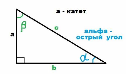 Даны катет а(альфа) и противолежащий острый угол а(альфа) прямоугольного треугольника. найдите други