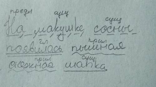 На макушке сосны появилась пышная снежная шапка . разобрать предложение по членам и частям речи .