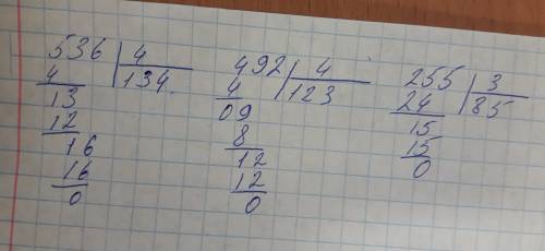 Решите примеры в столбик, ! примеры: 536: 4 , 492: 4 , 255: 3