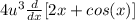 4u^3 \frac{d}{dx} [2x+cos(x)]