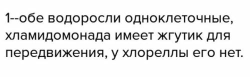 Как отличить хлоредомонаду и хлореллу от других водорослей?