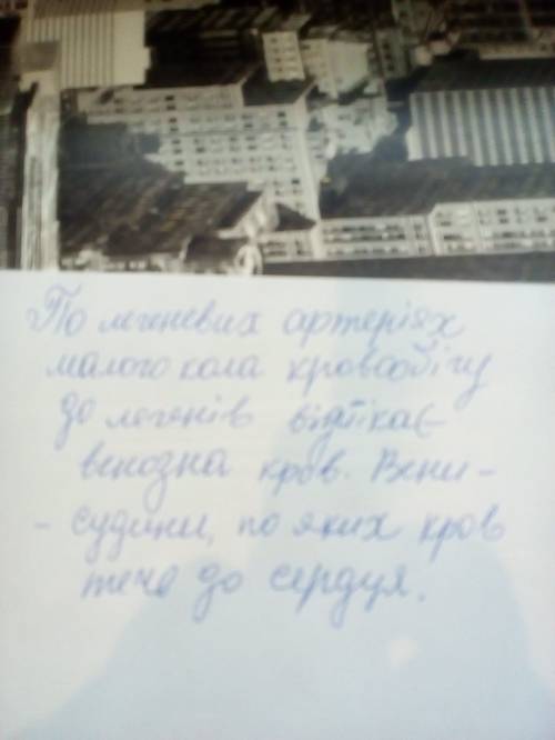 Визнач судини по яких тече венозна кров