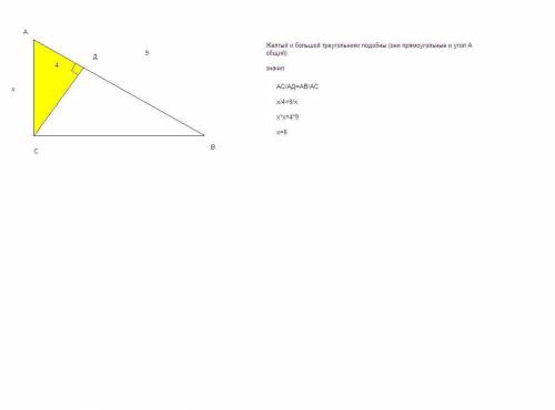 Треугольник abc-прямоугольный ab-гипотенуза cd-высота ab=9 ad=4 найти: ac
