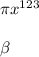 \pi x^{123} \\ \\ \beta