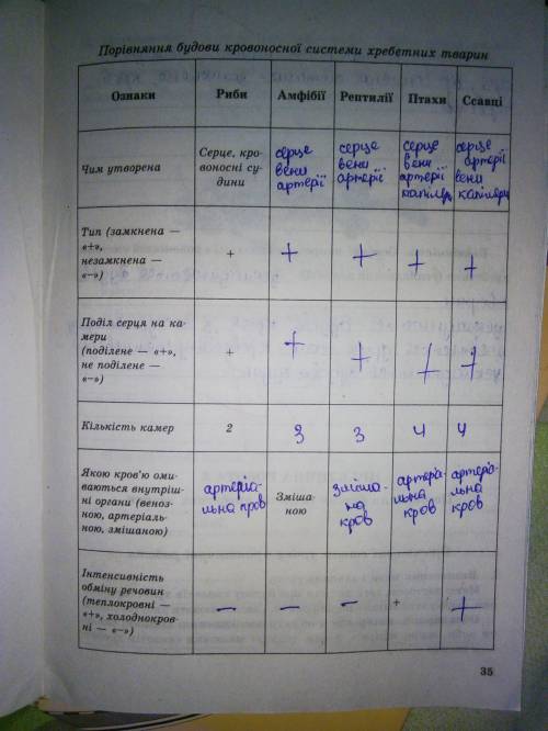 Особливості будови серця риб, амфібій,рептилій,птахів,ссавців