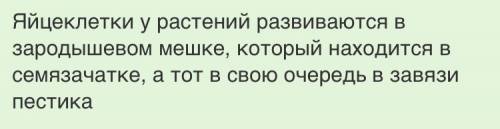 Уцветковых растений яйцеклетки образуются в а) пестиках б) тычинках в) семязачатках г) пыльцевой тру