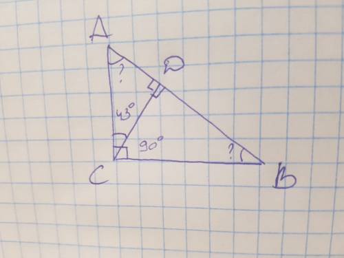 Утрикутнику abc кутc=90градусiв. висота сd утворюэ з катетом ac кут, що дорiвнюэ 43градуси. знайдiть
