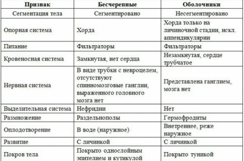 Какие отличия между позвоночными и безрозвоночными?