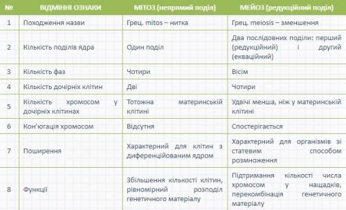 Порівняльна характеристика мітозу і мейозу