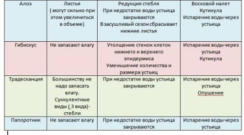 Заполнить таблицу .1 колонка название растения(нужно рассмотреть кактус,молочай,алое,гибискус,традес