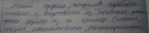 Выполнить синтаксический разбор предложения: ) малыш сердился, нетерпеливо перебирал лапками и, выпу