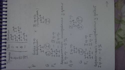 Учеловека имеются четыре фенотипа по группам крови: i(0), ii(а), iii(в), iv(ав). ген, определяющий г