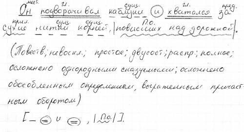 Он подворачивал каблуки и хватался за сухие нитки корней , повисших над дорожкой. синтаксический раз