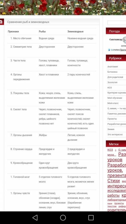 Сравнительная характеристика рыб и земноводных